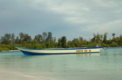 Pulau Fam House | Rosye homestay raja ampat
