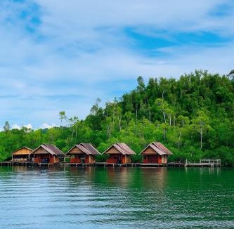 Arborek House | " Miguel Homestay RAJA AMPAT "