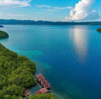 Arborek House | " Miguel Homestay RAJA AMPAT "