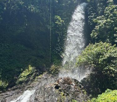 Tembuku House | Green Pacing Lodge