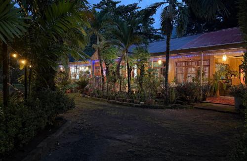Marinsow House | Tangkoko Jungle Homestay