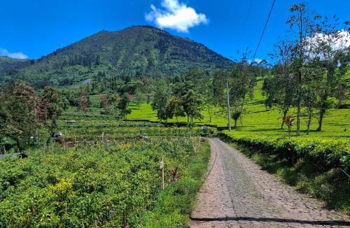 Wonosobo Hotel | Khanzana Cabin and Camp Telaga Menjer