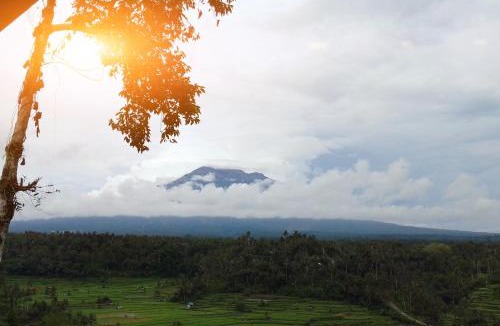 Tembuku House | Green Pacing Lodge