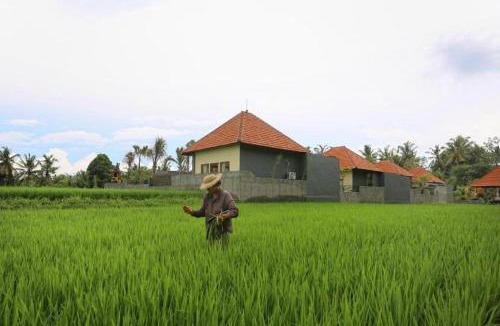 Lodtunduh Villa | Asri Sari Ubud Resort