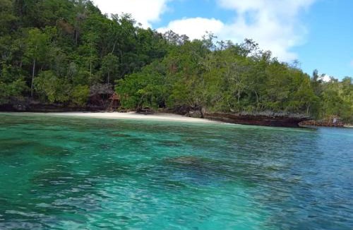 Yenbeser House | " Wobbegong Raja Ampat "