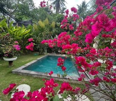Kaliasem Villa | Villa Arjuna lovina