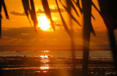 Rote Island Hotel | Rote Island Huts