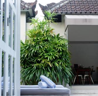 Batubelig Villa | VILLA BELLA - 7Min Beach Access - 10min to Canggu
