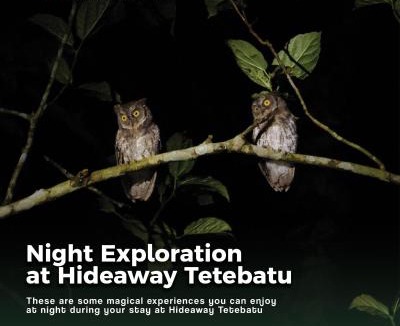 Tetebatu House | Tetebatu Hideaway