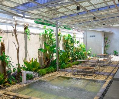 Catur Tunggal House | Petik Merah Beo