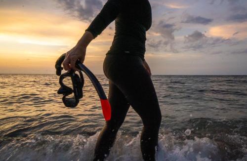 Rumah Santek Resort | Sofanda Resort & Dive