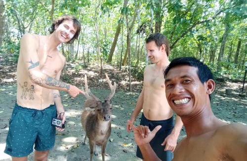 Mendoyo House | Ayolah Surf camp surf stay
