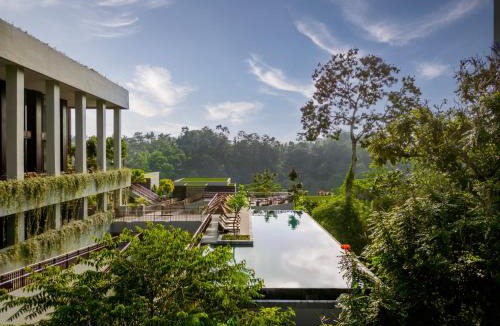 Payangan Resort | Anantara Ubud Bali Resort