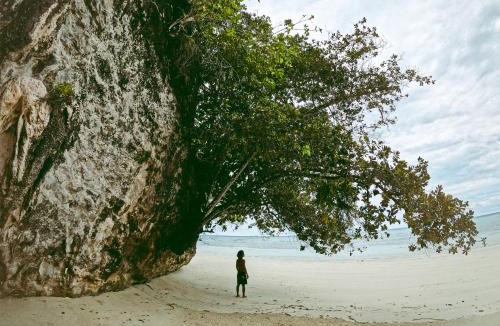 Sipura Island Hostel | Likat Surf House