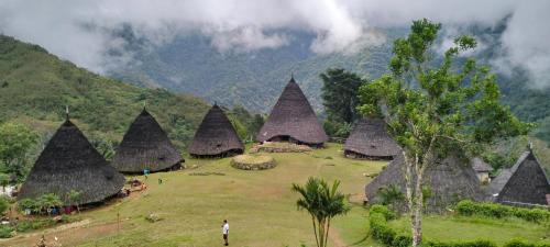 Ruteng House | Hobbit Hill