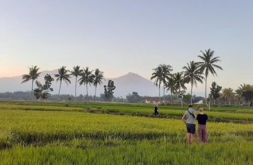Kecamatan Sikur House | Sabirin Asri Homestay