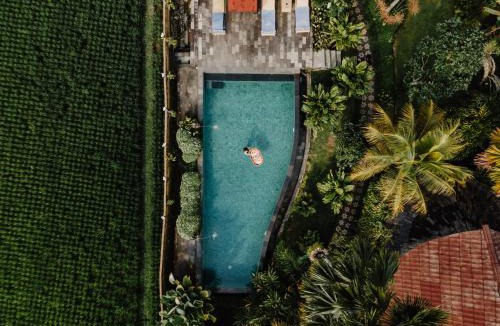 Payangan Resort | Padi Bali Retreat