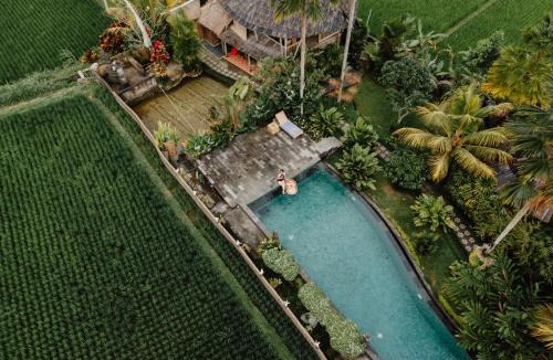 Payangan Resort | Padi Bali Retreat