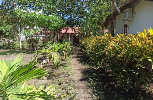Marinsow House | Tangkoko Jungle Homestay
