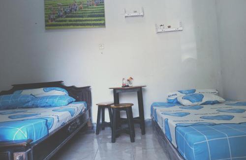 Sidoarjo House | Kost Backpacker