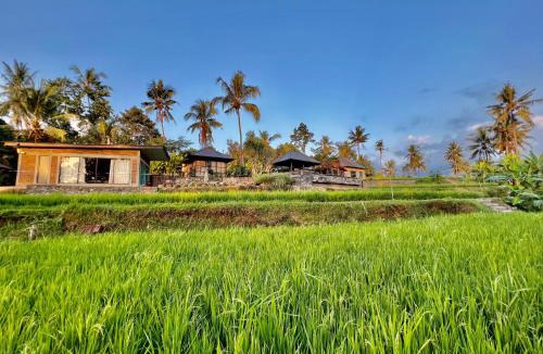 Sawan House | Rumah Hadeka sawan