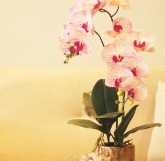 Surabaya House | Kanna Stay