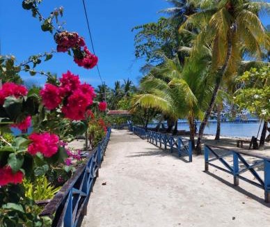 Mansuar Island House | Frances Homestay - Raja Ampat