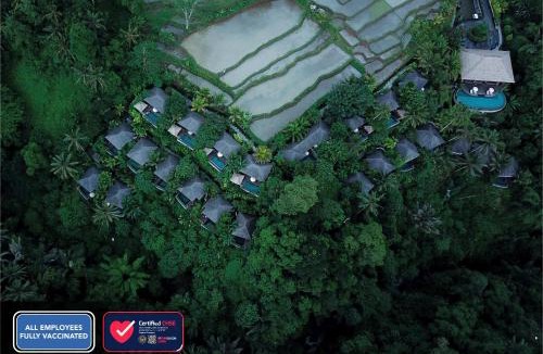 Melayang Resort | Natya Resort Ubud