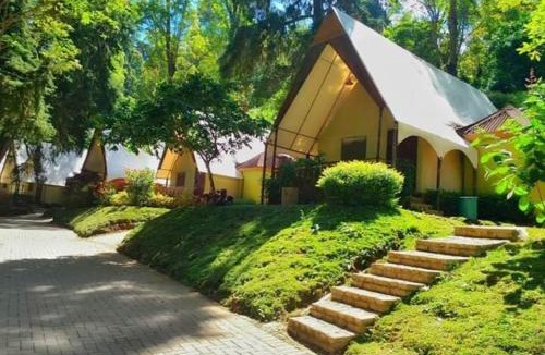 Sarangan Resort | Lawu Forest Camp