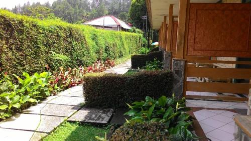 Ciloto Resort | Hotel Lembah Safari Cisarua