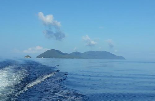 Kri House | Turtle Dive Homestay