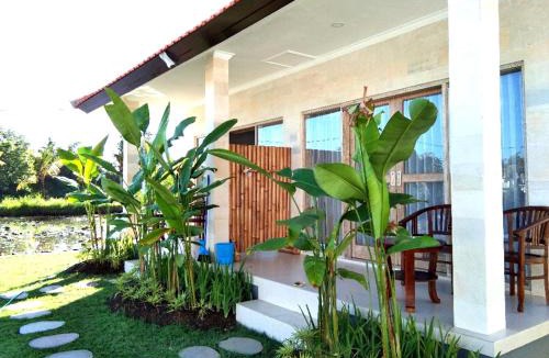 Medahan House | Padi guest house