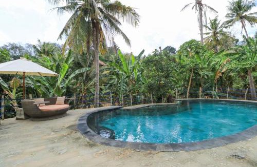Mushroom Bay House | Villa Mangga