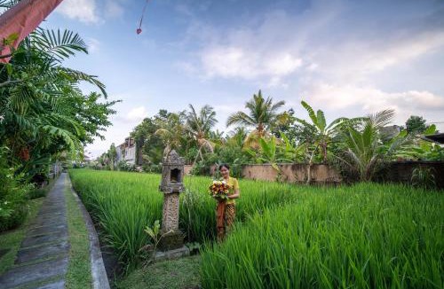 Kedewatan Villa | Villa Nini