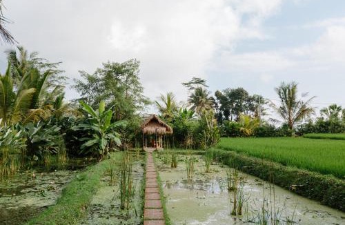 Undisan Resort | De Klumpu Bali Eco Tradi Stay