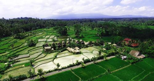 Undisan Resort | De Klumpu Bali Eco Tradi Stay