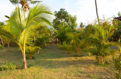 Pemuteran Resort | Bali Oase Resort