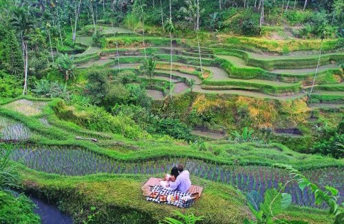 Melayang Resort | The Kayon Resort