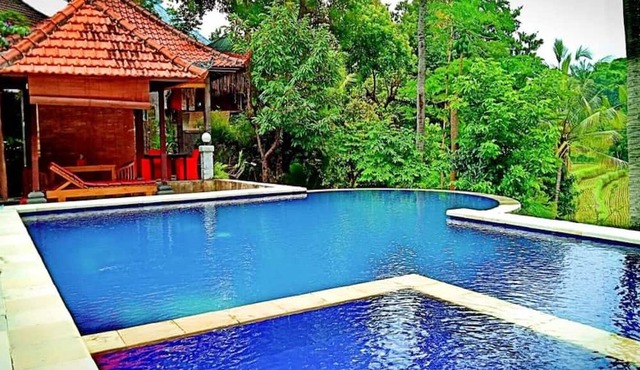 Lotus Guesthouse Sudaji: a natural and unique place in the North Bali. in Singaraja