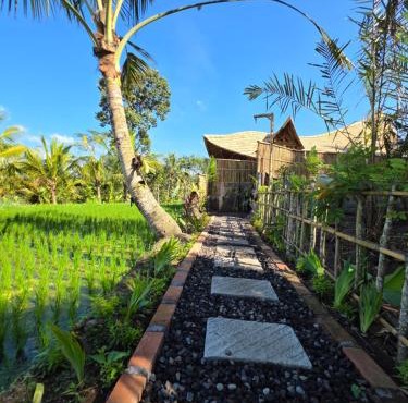 Golden paddy bamboo house -by sunrise hill in Sidemen