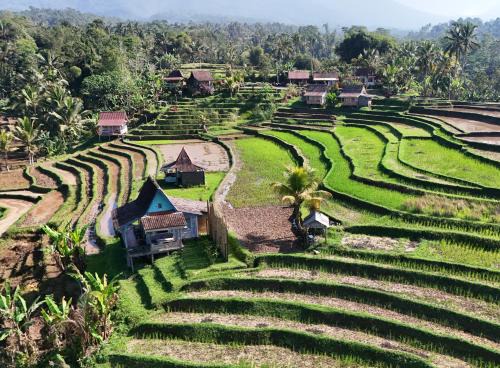 D'Ume Bendoel Homestay in Jatiluwih