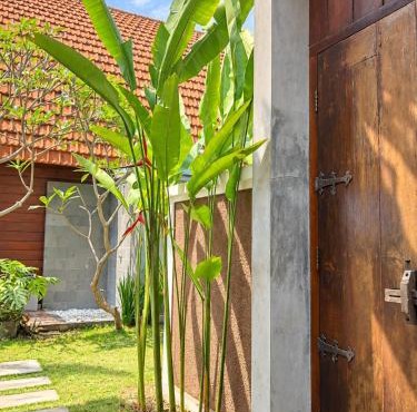 Ashoka Bhumi Lovina Villa in Banjar