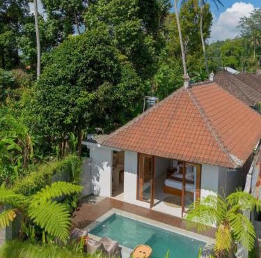 One bedroom villa with private pool in Susut