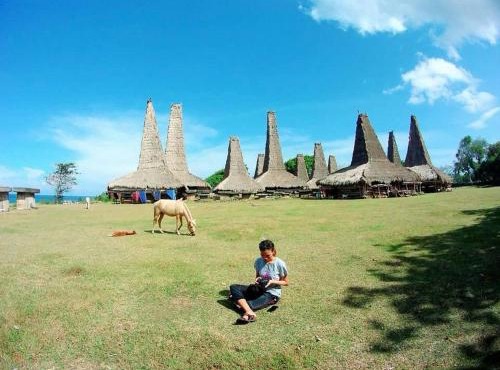Sella Homestay Wainyapu Sumba in Lambatama