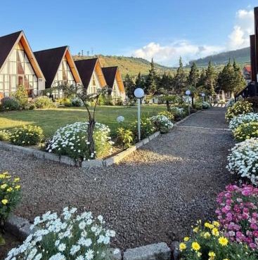 Platinum Cabin Dieng 3 by Horison in Dieng