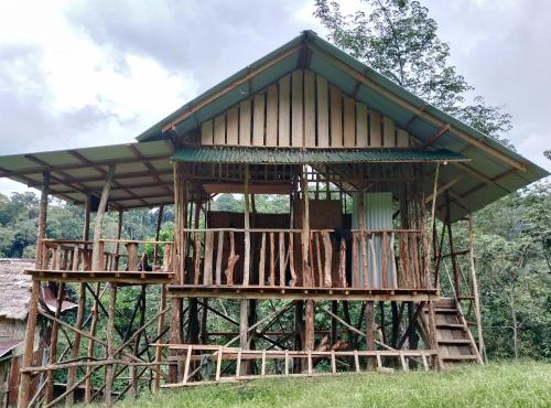 ORANGUTANTREKSUMATRA & LOVELY JUNGLE LODGE only book IF you are treking with us in Bukit Lawang