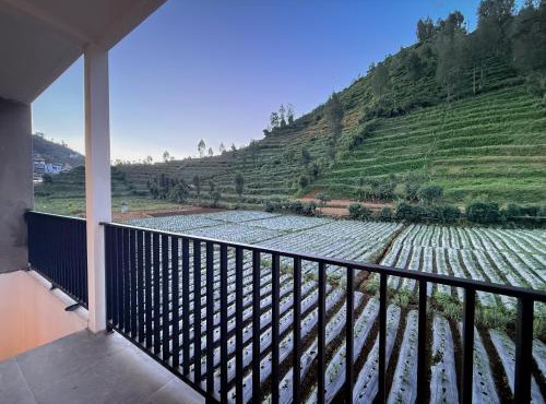 Singgah Sejenak Dieng in Kejajar