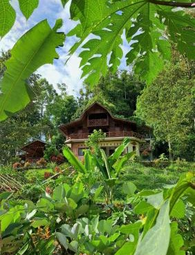 Bukit Lawang - Batu Kapal Rimba House in Bukit Lawang