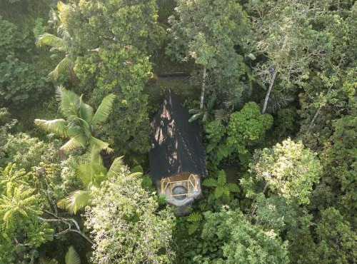 Alasari Hidden Bamboo Retreat in the Jungle