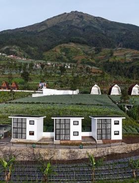 Krincing Hills Cabin